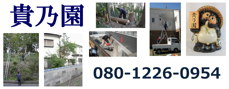 貴乃園　横浜市泉区 | 庭木の伐採、立木の枝落し、抜根のホームページです。